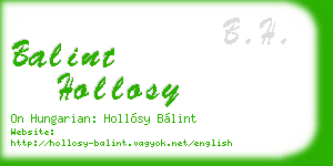 balint hollosy business card